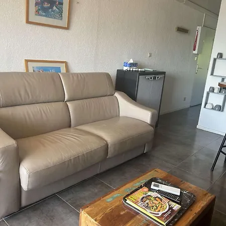 Appartement Appt Deux Pieces 4 Couchages Cap D'agde Ct455-146