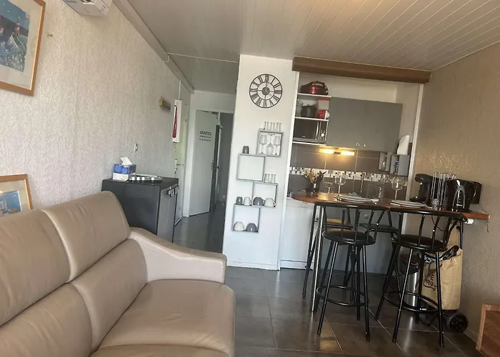 Appt Deux Pièces 4 Couchages Cap D'agde Ct455-146 Appartamento