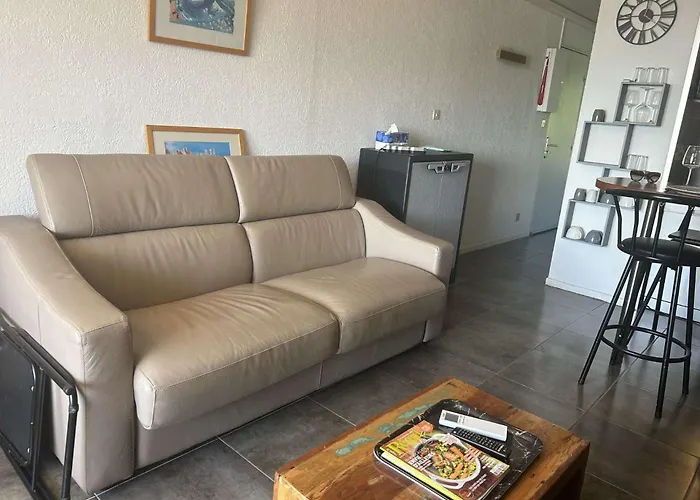 Appartamento Appt Deux Pièces 4 Couchages Cap D'agde Ct455-146